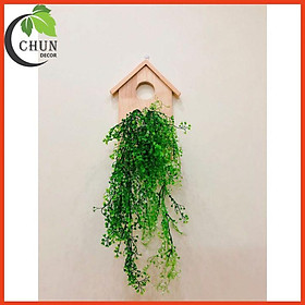 Mua Bảng Gỗ Treo Tường Cao Cấp Kèm Lọ Thủy Tinh Trồng Cây Thủy Sinh  Cắm Hoa Lá Nhiều Mẫu Hoa Trang Trí  Decor Nhà Độc Đáo