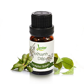 Tinh Dầu Leviter Khuynh Diệp (10ml)