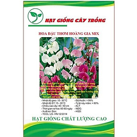 Hạt giống hoa đậu thơm hoàng gia nhiều màu CT435 - Gói 10 hạt