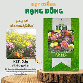 Mua Hạt giống Hoa Cúc Đà Lạt Nhiều Màu Rd 852 (0 1g~100 hạt) giống hoa đẹp  trồng quanh năm - Hạt giống Rạng Đông