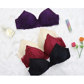 Áo Bralette ORLA Ren Mút Mỏng Không Gọng