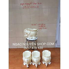 Khuôn đổ chậu Hình con voi bé dài 28cm cao 22cm ngang 17cm đổ úp đáy nhựa abs