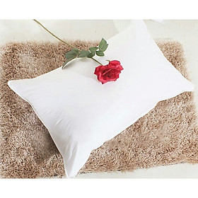Mua Gối Lông Vũ Cao Cấp 50x70cm - Êm ái cho giăc ngủ - Chuẩn khách sạn 5 sao