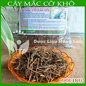 Mua Cây Mắc Cỡ (Xấu Hổ) khô 500gram