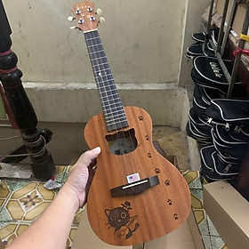 Mua ĐÀN UKULELE CONCERT GỖ UKU MOEW ADDARIO