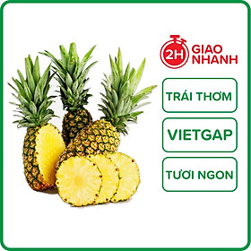 KHÓM TRÁI ĐẠT CHUẨN VIETGAP_1 TRÁI