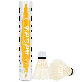 Ống Cầu Lông 12 Quả Lectra Enpex