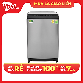 Máy giặt Toshiba Inverter 15 kg AW-DUG1600WV SK