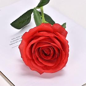 Mua HOA HỒNG giả 1 BÔNG SIZE LỚN 9CM CÀNH 50CM - Trang trí đám cưới  để bàn  chụp ảnh