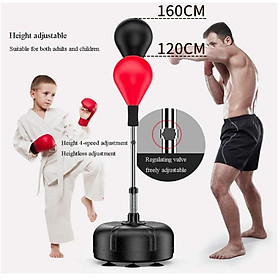 Trụ đấm bốc boxing Pro X 4.0 - Đấm bốc boxing phiên bản cải tiến 2019 - Bền bỉ hơn, dai hơn, ưu việt hơn