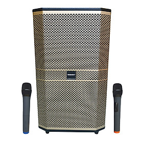 Loa karaoke di động Temeisheng ED-1506