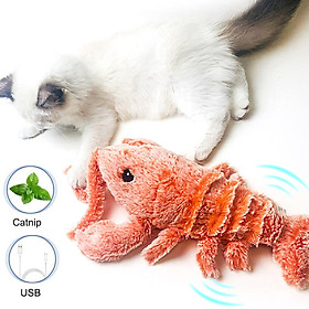 Đồ chơi bằng điện thiết kế hình con tôm cho mèo được làm bằng bông và sang trọng, mềm mại, hoạt động bằng cách lắc lư đuôi,sạc lại USB