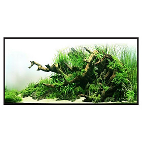 Decal dán hồ cá ngang 70cm x cao 40cm_DECAL VIP