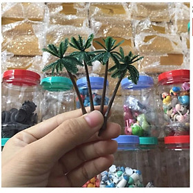 Cây Dừa Trang Trí Tiểu Cảnh Sen Đá, Cây Bonsai, Sen Đá, Xương Rồng