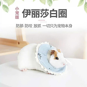 VÒNG BẢO VỆ CHUỘT SÓC THÚ CƯNG NHỎ HAMSTER CHUỘT LANG SÓC BAY THỎ NHỎ DÀNH CHO THÚ CƯNG