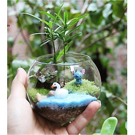 Mẫu bonsai hồ thiên nga để DIY trang trí với bồn thủy tinh 3 chấu