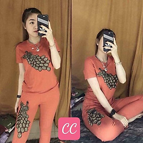 SET ĐỒ BỘ NỮ THUN,CHẤT LIỆU VÃI THOÁNG MÁT VÀ CO GIẢN 4C LANA FASHION