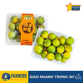 Kim quất đường Đài Loan - Vỏ dai nhẹ, thịt mềm ngọt lịm, hạt lép, ăn luôn cả vỏ rất thơm (Hộp 400G)