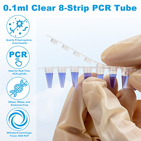 Mua 8-Strip PCR 0.2ml  nắp phẳng (8-Strip PCR Tubes)  125 Strip/hộp  hàng nhập khẩu chính hãng