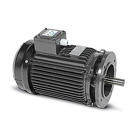 Motor quạt nước ao tôm Sagar 2.2kW 4P 3 pha 380V 50Hz IE2 Class H- Hàng chính hãng