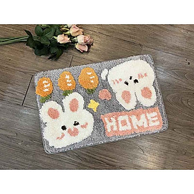 Mua Thảm chùi chân lông 40x60 - HOME - TLC07301