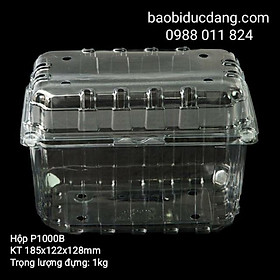 Mua 50 hộp nhựa đựng 1kg hoa quả P1000B ( có lỗ thoát khí và nút gài)