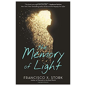 The Memory Of Light