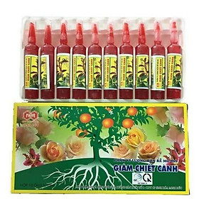 Mua 1 lọ thuốc kích thích ra rễ giâm cành MĐ 901