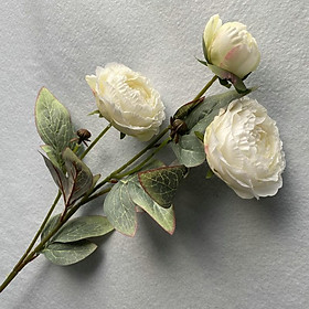 Hoa lụa, cành hồng Misaki 3 bông cao cấp cắm bình hoa đẹp để bàn decor phòng khách, văn phòng HT-03