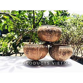 Mua Vỏ gáo dừa trồng lan xinh xắn cho ban công -sân vườn