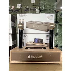 Mua Loa bluetooth A100