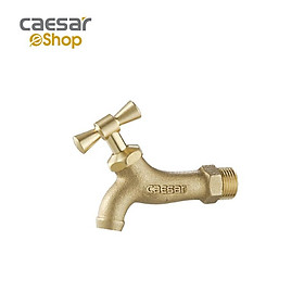 Vòi Lạnh Gắn Tường - W034