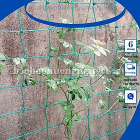 Lưới giàn leo, lưới trồng bầu bí (kích thước 4x4m mắt 20x20cm sợi to)
