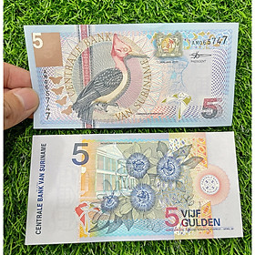 Mua Tiền cổ Suriname hình con chim rất đẹp mệnh giá 5 Gulden - mới 100% UNC   tặng túi nilon bảo quản
