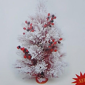 Cây thông mini màu đỏ phủ tuyết 60cm