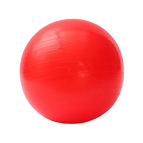 Bóng Tập Yoga Da Trơn Đại Nam Sport DNS65T (65cm)