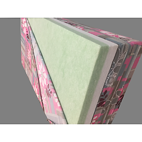 Nệm Bông Ép Cứng 5cm  - Giao Màu Ngẫu Nhiên - 120x200x5cm