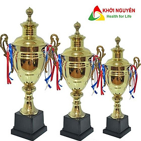 Cúp thể thao kim loại giá rẻ T-939 + Free in tem Logo giải đấu