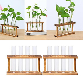 2x Wall Mounted Hanging Planter Test Tube Flower Vase Tabletop Glass Wood