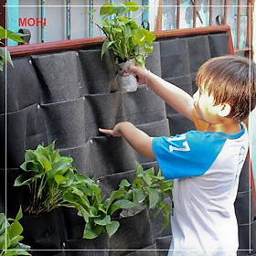 Túi vải trồng cây treo tường/túi vải trồng cây trong nhà 21 ngăn - Chính hãng
