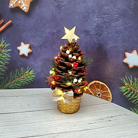 Chậu Quả Thông Khô QT09 Trang Trí Giáng Sinh Noel – có đèn
