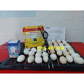 Mua Máy ấp trứng tự động 54 trứng - Tặng kèm pin soi trứng - chưa gồm thùng xốp