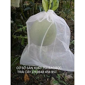 Mua 100 CÁI BAO BỌC BƯỞI NHÃN LƯỚI DÀY 2 LỚP 35*40