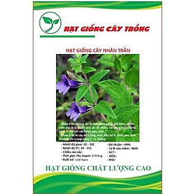 Mua Hạt Giống Cây Nhân Trần ( cây dược liệu ) CT209 - Gói 1gram