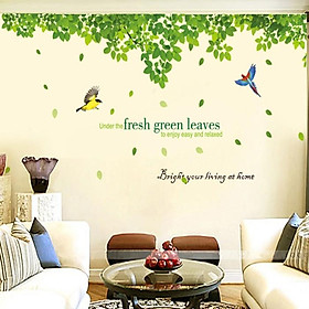 Decal dán tường Tán lá xanh Green leaves to nhất dài 3m1