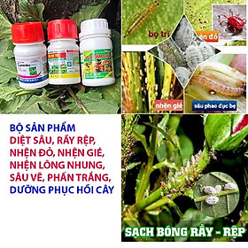 Bộ sản phẩm đặc hiệu diệt nhện đỏ, bọ trĩ, rầy rệp, sâu Kyodo 100ml + vuabotri 90ml + vua đâm chồi 100ml pha 100 lít