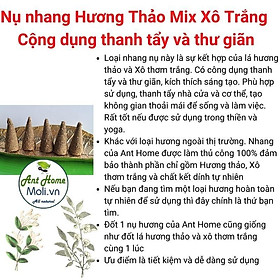 Mua Túi 11 nụ nhang Palo Santo nguyên chất - Nhang gỗ trắc xanh - Gỗ thánh Holly wood
