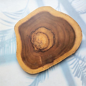 Mua Thớt/Khoanh Gỗ Keo Đựng Beefsteak  Thớt Gỗ Tự Nhiên 35-45cm  Chụp Ảnh Decor