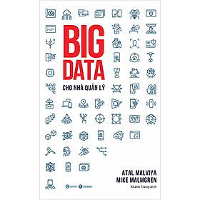 Big Data Cho Nhà Quản Lý