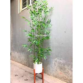 Mua Cây trúc giả - Loại siêu nhiều lá - Size từ 1 2 đến 2 m - Cây trúc nhân tạo – Cây trúc cảnh trang trí – Cây tre giả